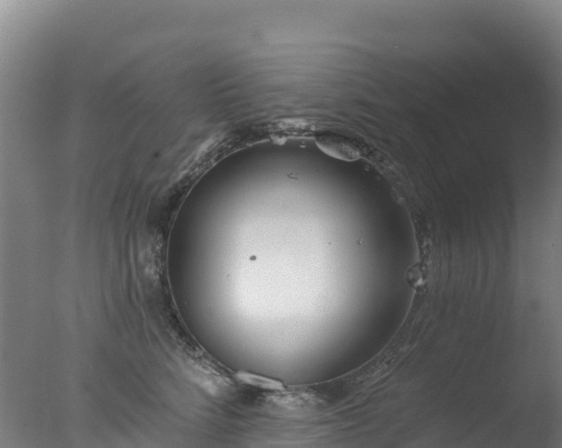 X0000077350712200610271828