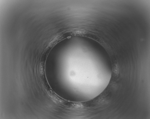 X0000077350715200610271828