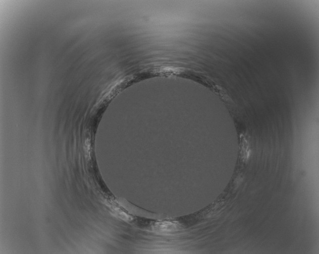 X0000077350716200610271828