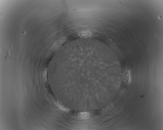 X0000077350717200610271828