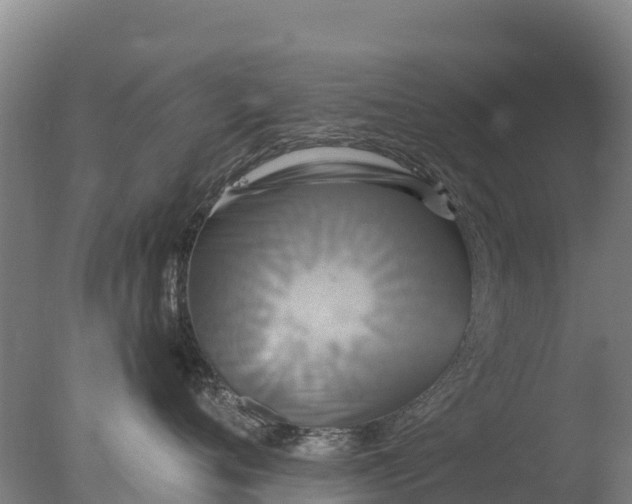 X0000077350720200610271828