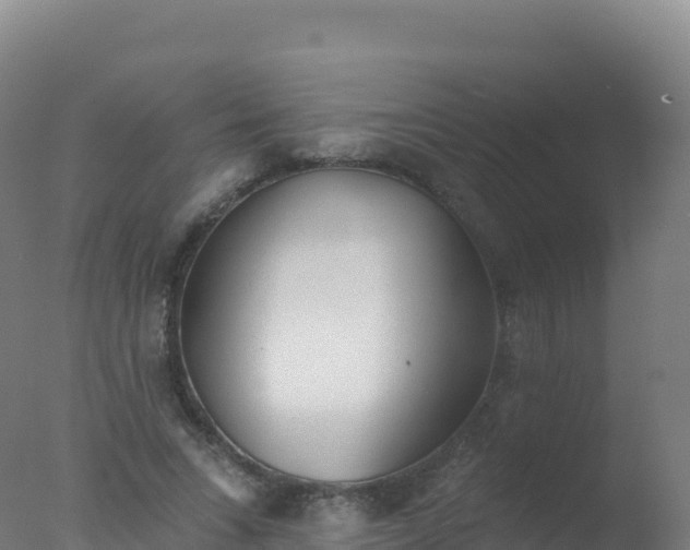 X0000077350735200610271828