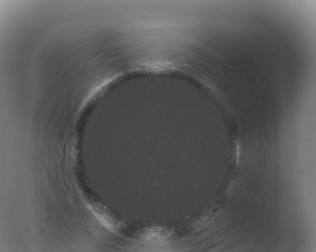 X0000077350736200610271828