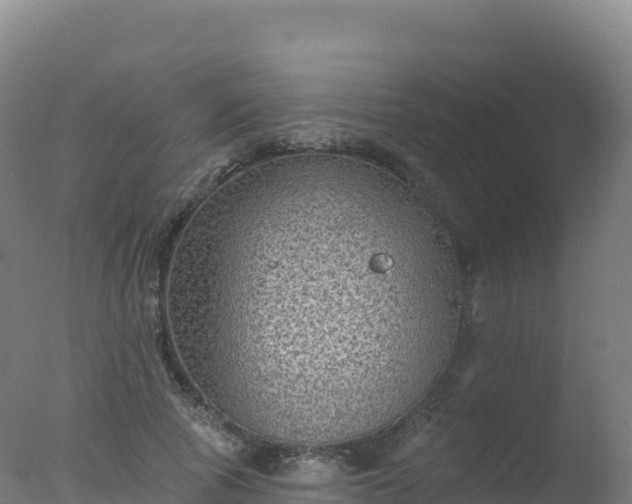 X0000077350737200610271828