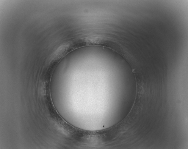 X0000077350738200610271828