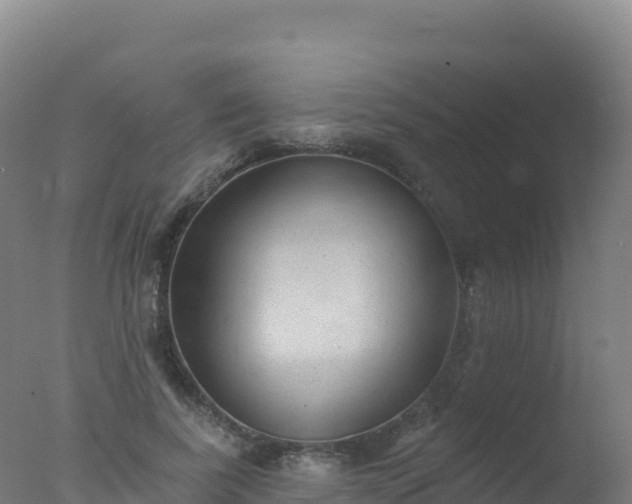 X0000077350739200610271828