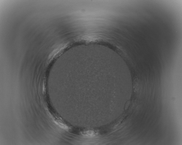 X0000077350740200610271828