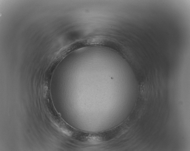 X0000077350741200610271828