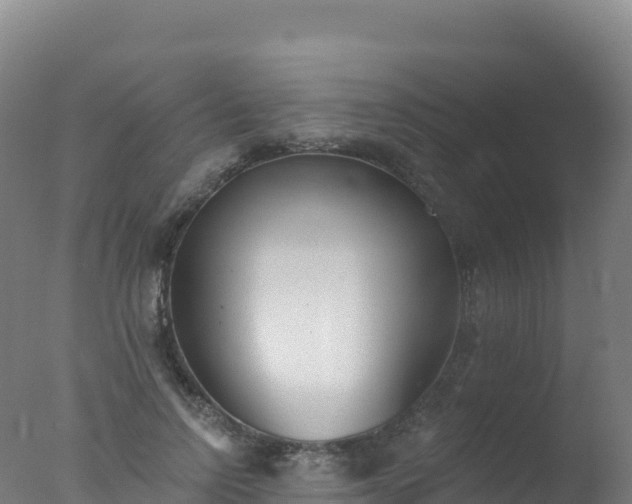 X0000077350742200610271828