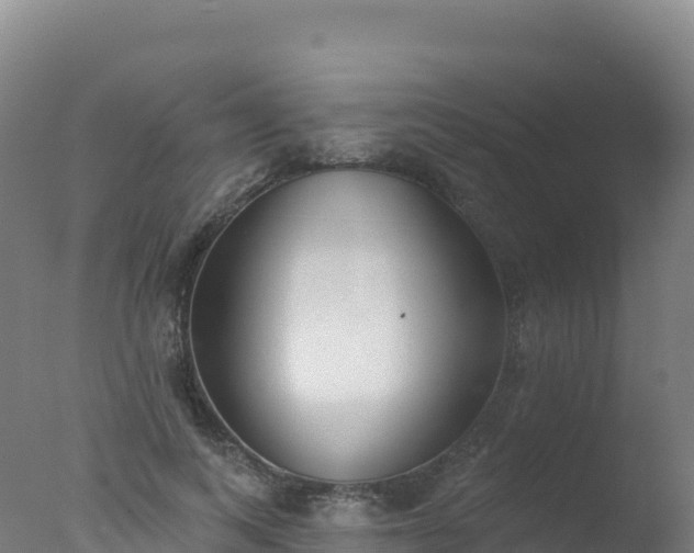 X0000077350743200610271828