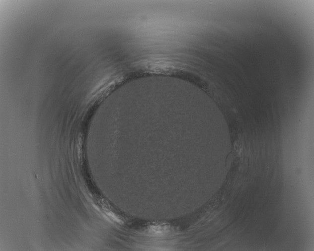 X0000077350744200610271828