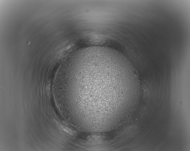 X0000077350745200610271828