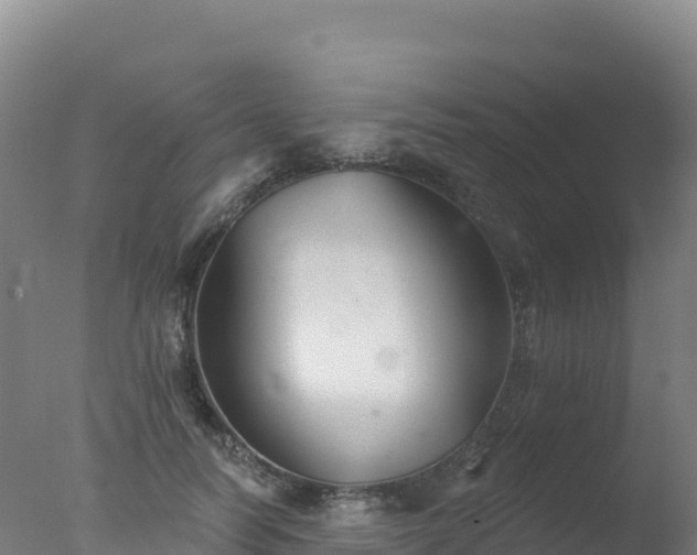 X0000077350746200610271828