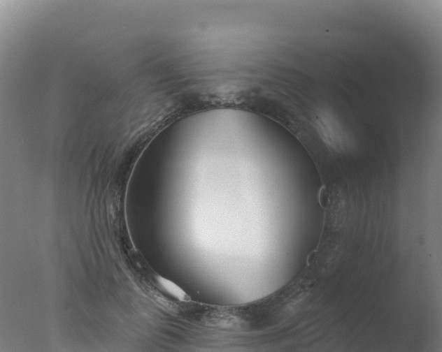 X0000077350747200610271828