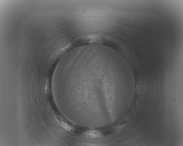 X0000077350748200610271828