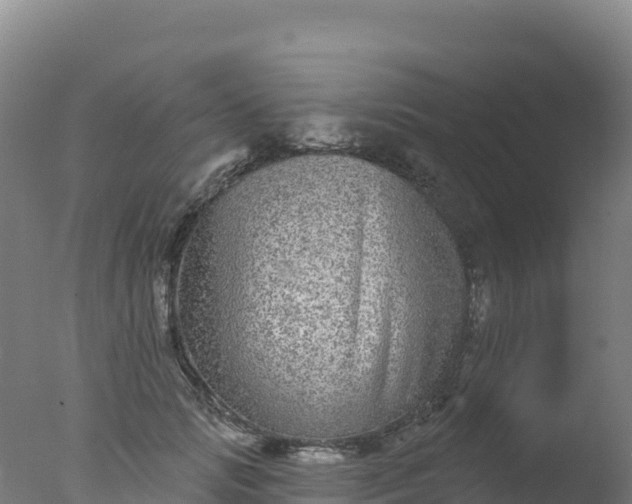 X0000077350749200610271828