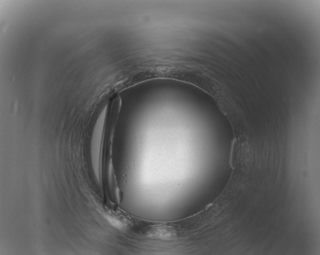 X0000077350750200610271828