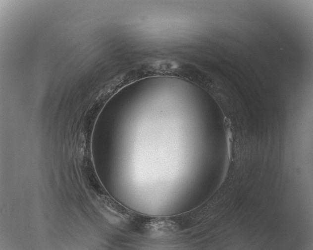 X0000077350752200610271828