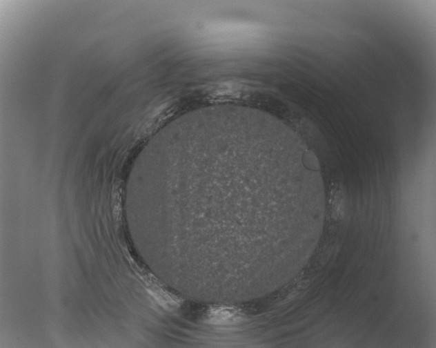 X0000077350753200610271828