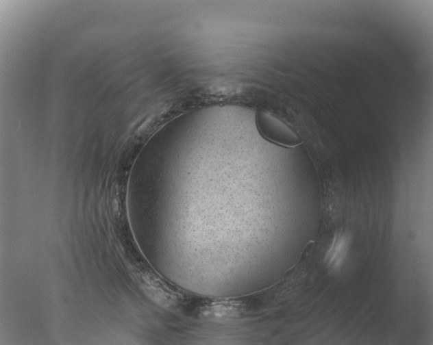 X0000077350758200610271828