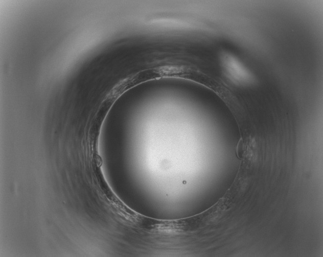 X0000077350763200610271828