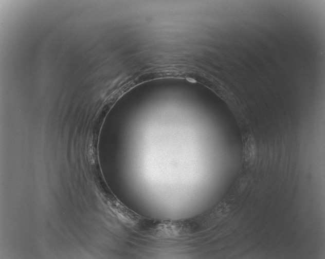 X0000077350764200610271828