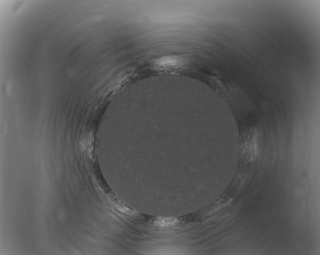 X0000077350767200610271828