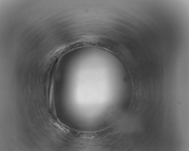 X0000077350773200610271827