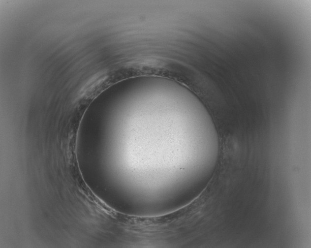 X0000077350774200610271827