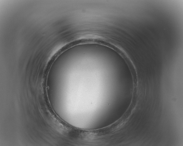 X0000077350783200610271827