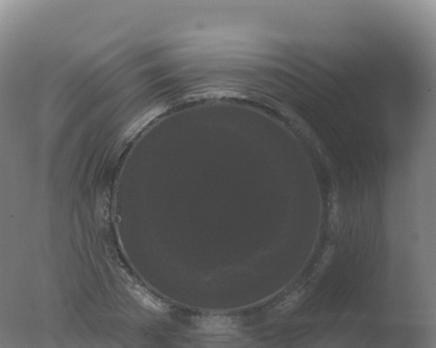 X0000077350785200610271827