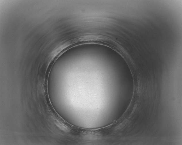 X0000077350786200610271827