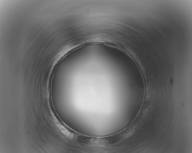 X0000077350795200610271827