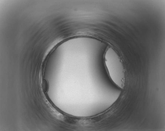 X0000077350796200610271827