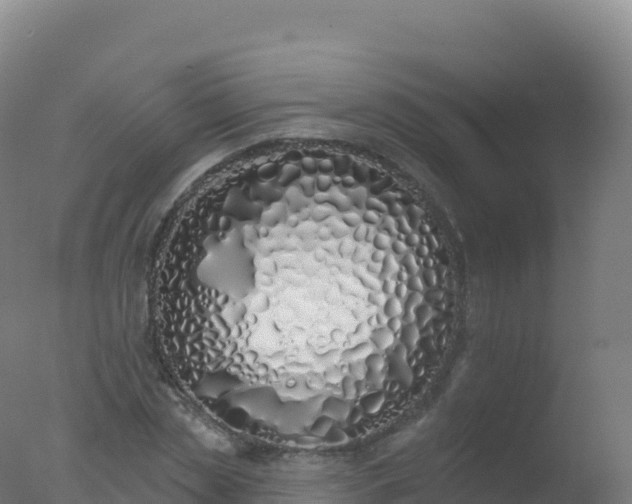 X0000077350829200610271826