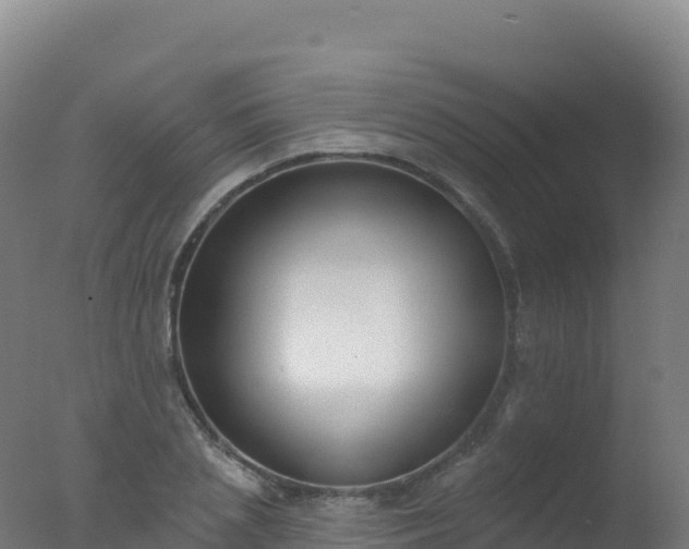 X0000077350837200610271826