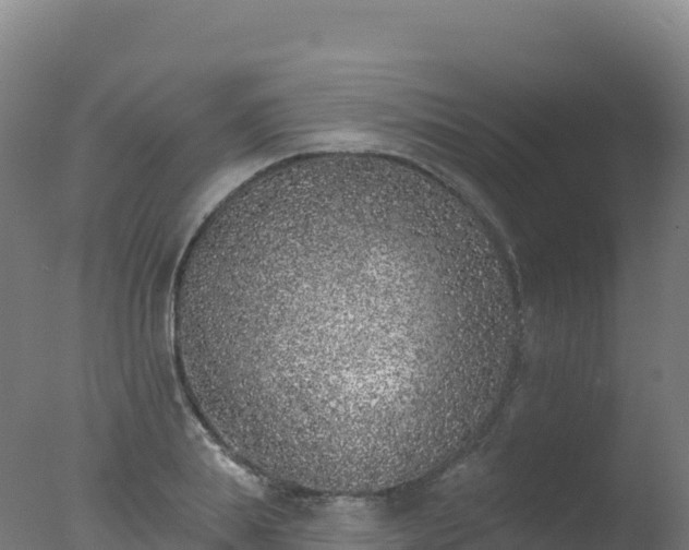 X0000077350839200610271826