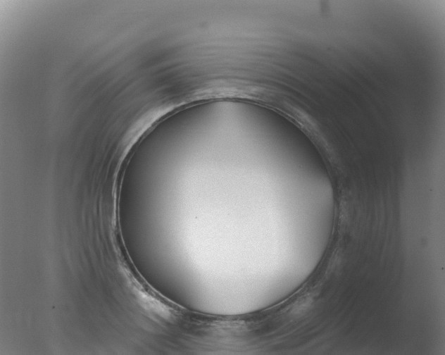 X0000077350844200610271826