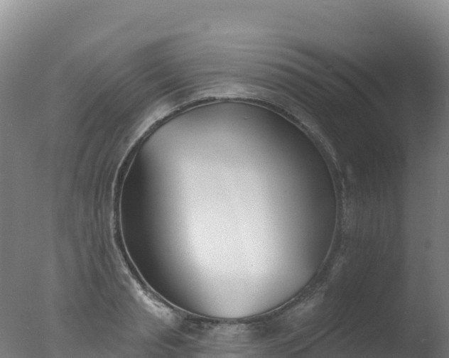 X0000077350845200610271826
