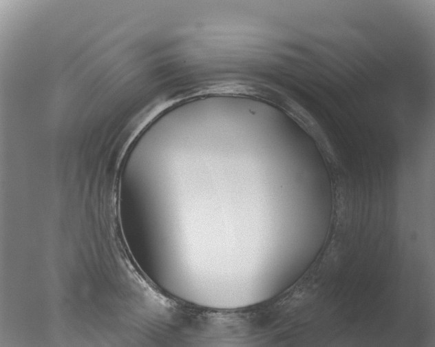 X0000077350852200610271826