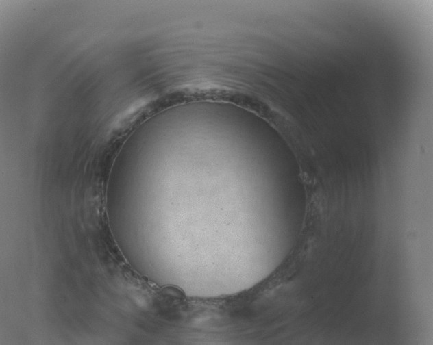X0000077350870200610271826