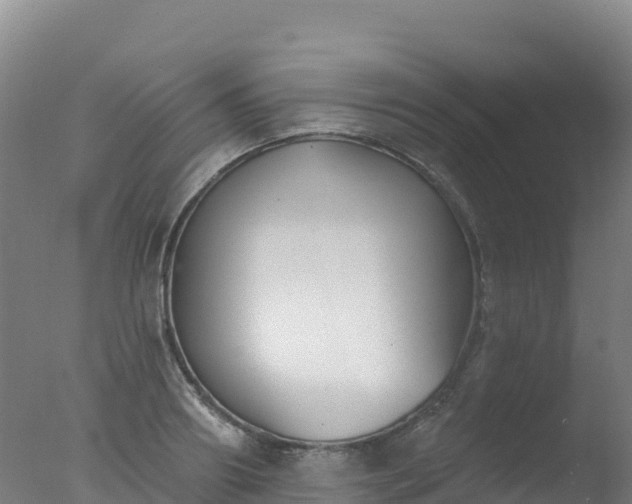 X0000077350890200610271825