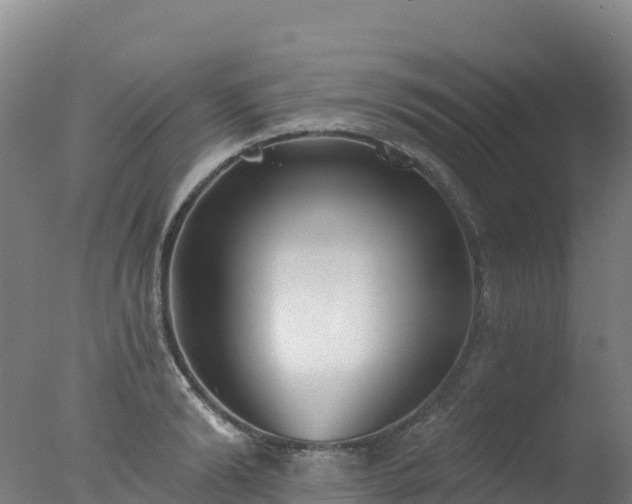 X0000077350894200610271825