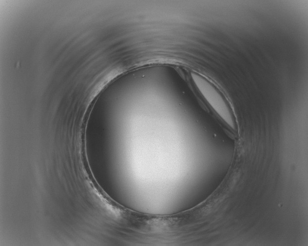 X0000077350898200610271825