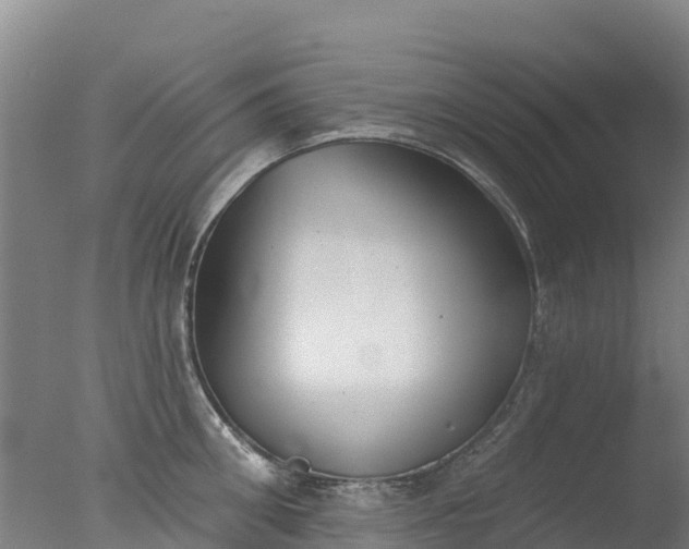 X0000077350906200610271825