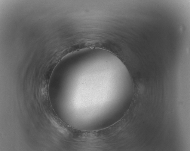 X0000077350914200610271824