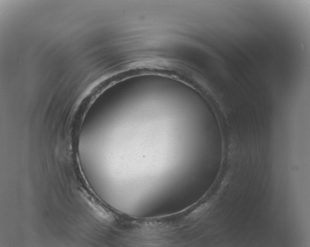 X0000077350923200610271824