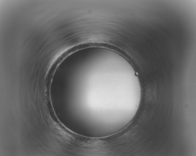 X0000077350926200610271824