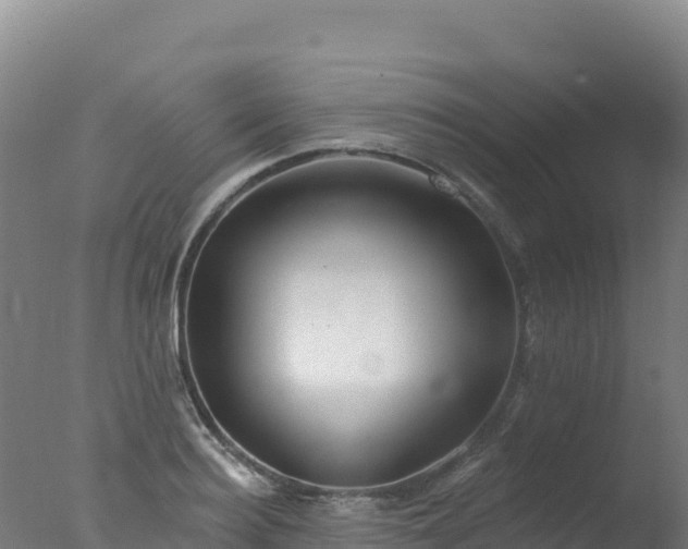 X0000077350940200610271824