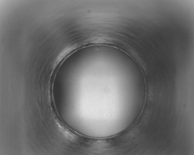 X0000077350986200610271824